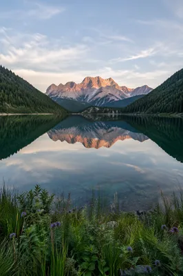 Calm Alpine Lake Morning Reflection