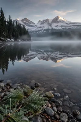 Calm Alpine Lake Reflection at Dawn