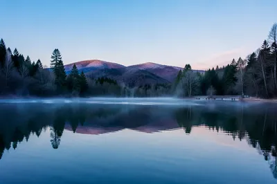 Calm Morning Lake with Evergreen Reflections