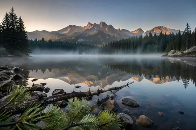 Calm Alpine Lake with Evergreen Reflections