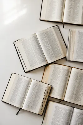 Open Bible Concordance Study Flat Lay
