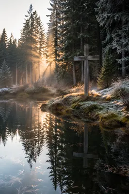 Weathered Cross Reflected in Forest Pond