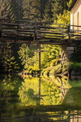 Wooden Cross Reflected in Still Water