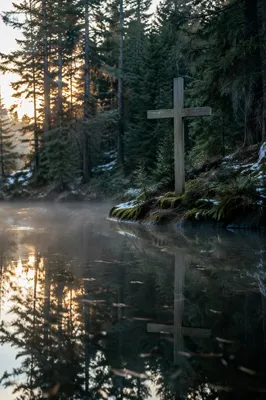 Weathered Cross Reflected in Forest Pond