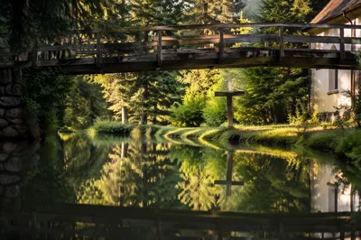 Wooden Cross Reflected in Still Evergreen Water