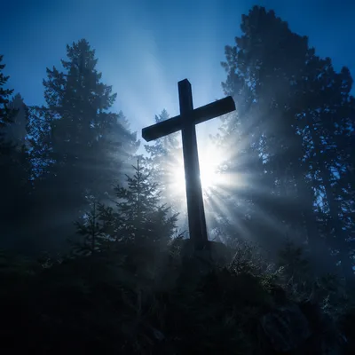 Wooden Cross in Evergreen Sunrise Rays