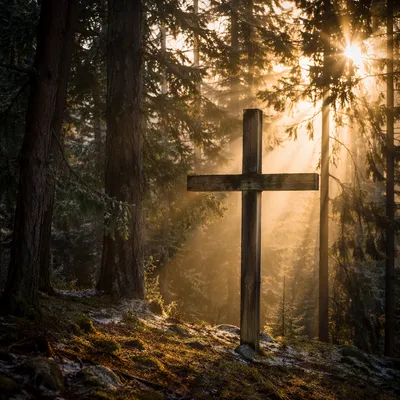 Wooden Cross in Evergreen Morning Light