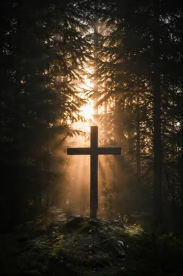 Wooden Cross in Evergreen Morning Light