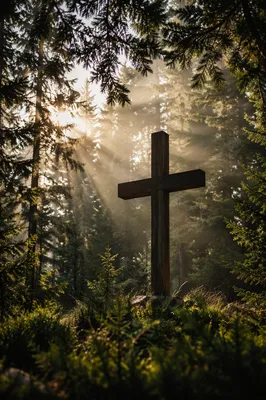 Wooden Cross in Evergreen Morning Light