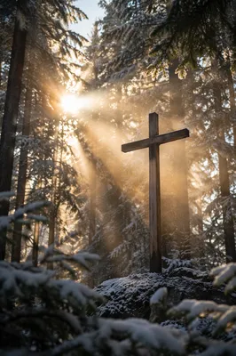 Wooden Cross in Evergreen Morning Light
