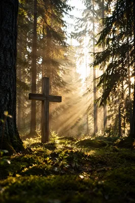 Wooden Cross in Evergreen Light Rays