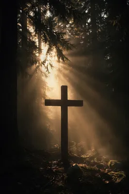 Wooden Cross in Evergreen Light Rays