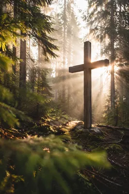 Wooden Cross in Evergreen Morning Light