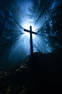 Wooden Cross in Blue Forest Sunrise
