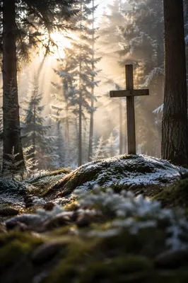 Weathered Cross in Evergreen Morning Light