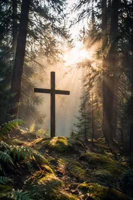 Wooden Cross in Misty Evergreen Light