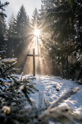 Wooden Cross in Snowy Evergreen Light