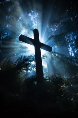 Wooden Cross in Evergreen Morning Rays