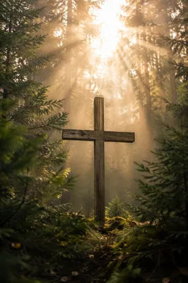 Wooden Cross in Evergreen Morning Light