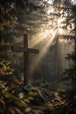 Wooden Cross in Evergreen Morning Light