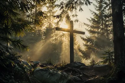 Wooden Cross in Evergreen Morning Light