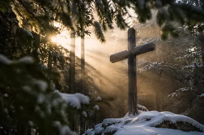 Wooden Cross in Evergreen Morning Light