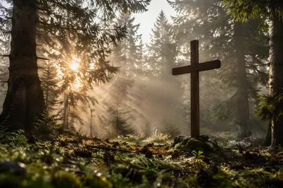 Wooden Cross in Misty Evergreen Morning Light