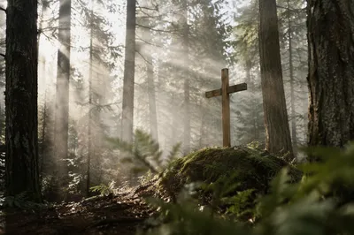 Wooden Cross in Misty Evergreen Light