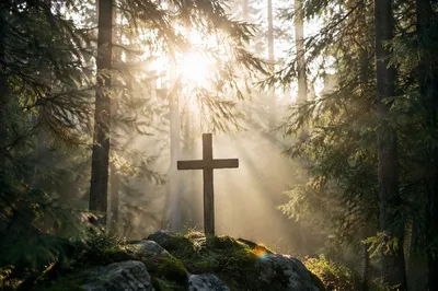 Wooden Cross in Evergreen Morning Light