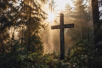 Wooden Cross in Misty Evergreen Light