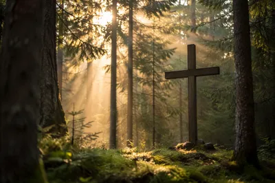 Wooden Cross in Evergreen Sun Rays