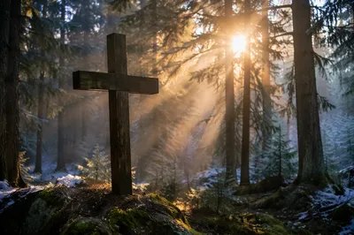 Wooden Cross in Misty Evergreen Light