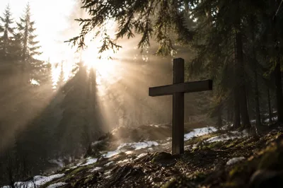 Wooden Cross in Misty Evergreen Light