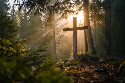 Wooden Cross in Evergreen Morning Light