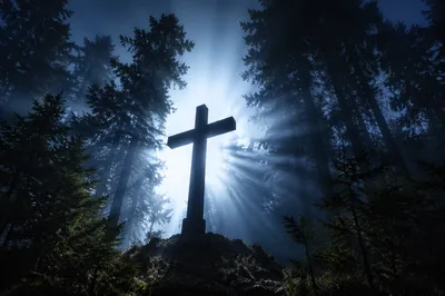 Wooden Cross in Evergreen Sunrise Rays