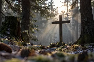 Wooden Cross in Evergreen Morning Rays