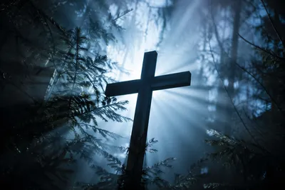 Wooden Cross Silhouette in Evergreen Light Rays