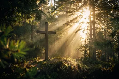 Wooden Cross in Evergreen Light Rays