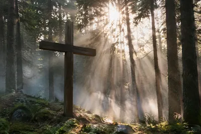 Wooden Cross in Evergreen Morning Light