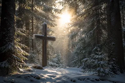 Weathered Cross in Misty Evergreen Dawn