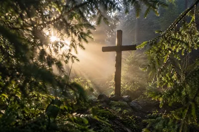 Wooden Cross in Evergreen Dawn Light