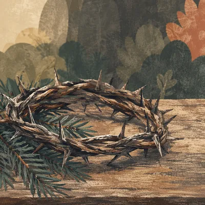 Crown of Thorns with Evergreen Sprigs