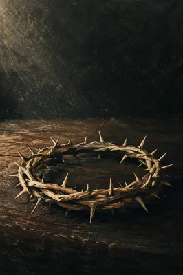Solemn Crown of Thorns on Dark Wood