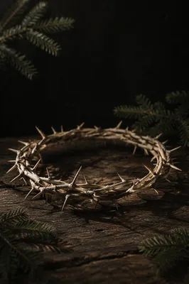 Crown of Thorns on Weathered Wood
