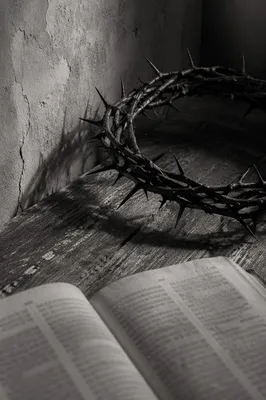 Crown of Thorns on Weathered Wood