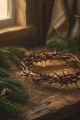 Crown of Thorns with Evergreen Hope