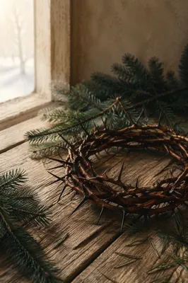 Crown of Thorns with Evergreen Sprigs