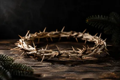 Crown of Thorns on Weathered Wood