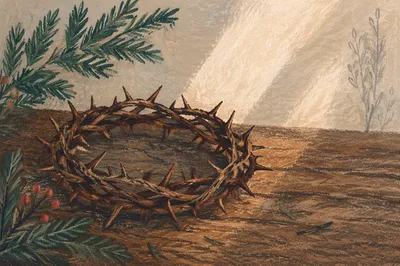 Crown of Thorns with Evergreen Sprigs