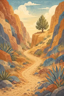 Desert Canyon Path Toward Evergreen Hope
